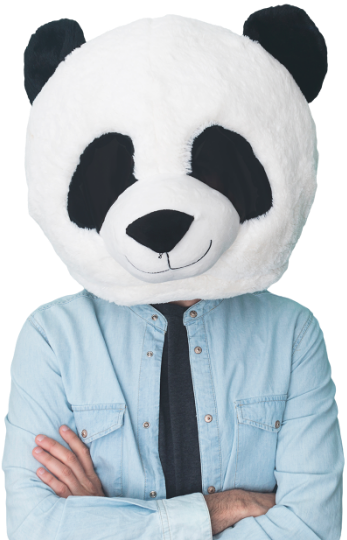 confident-man-wearing-panda-mask-standing-against-aquamarine-wall.png